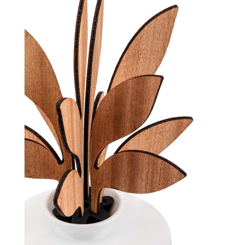 The Five Seasons Reed Diffusers And Sticks