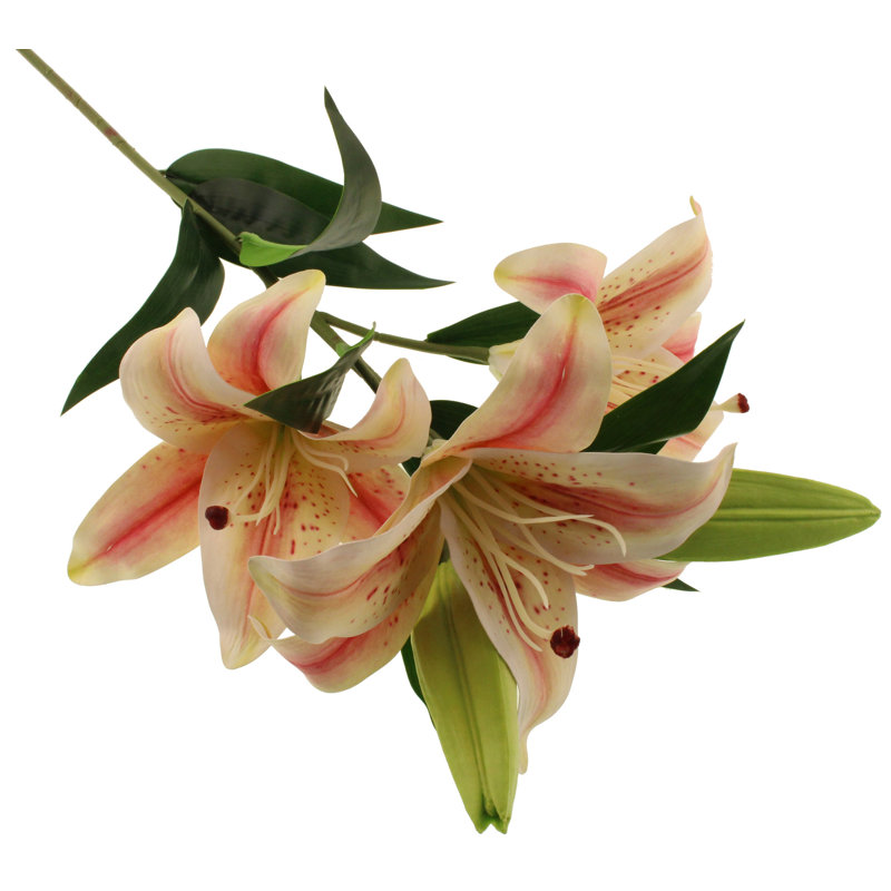 Lillies Arrangement, Cream/Pink