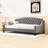 Twin Upholstered Daybed with Tufted Button Design-1036262621