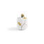Butterfly Ginkgo Small Container