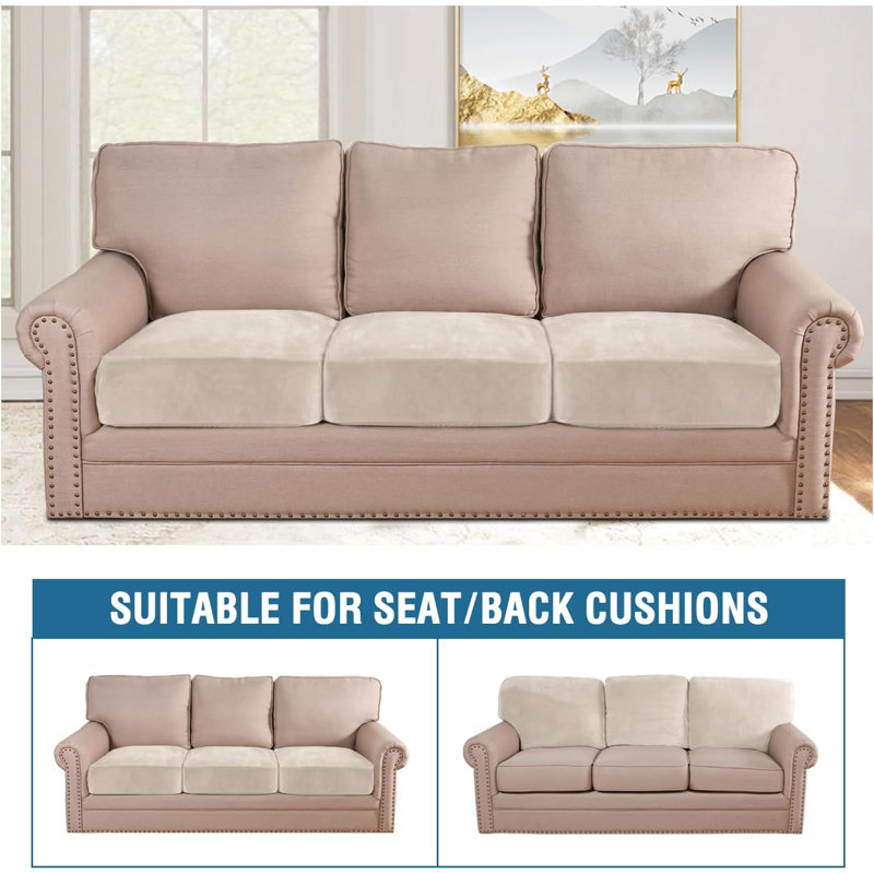 Cushion