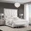 Eclipse 12 - Light Chandelier-1570400362