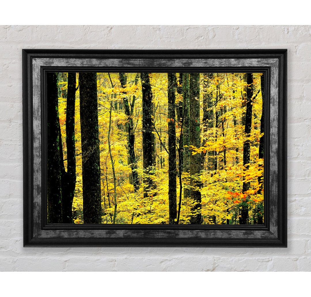 Yellow Woodland - Einzelner Bilderrahmen Kunstdrucke