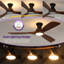 Ventilateur de plafond à intensité variable de 52 po avec ensemble d'éclairage inclus et télécommande 3 couleurs pour minuteur réversible à courant continu Karlena-876690467
