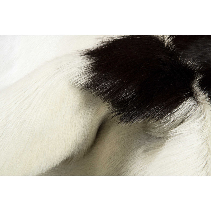 Cohn Cowhide Animal Print Indoor Rug, Novelty 2' x 3'