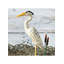 Figurine Jim Shore Heartwood Creek Coastal