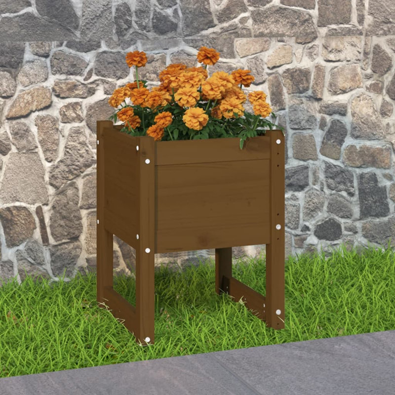 Wood Pot Planter, 52.5cm H x 40cm W x 40cm D, Dark Brown