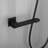 Dual Shower Head 1.8 GPM GPM-93723477
