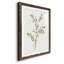 Cadre simple mat Premium Sprig II prêt à accrocher-608552820-608552830