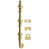 Polished Brass