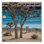 Washable Joshua Tree Southwestern Area Rug