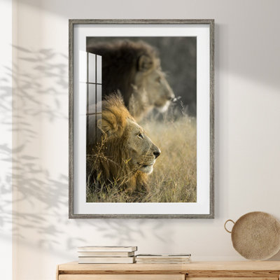 Grunlien -Gallery Wrapped Canvas