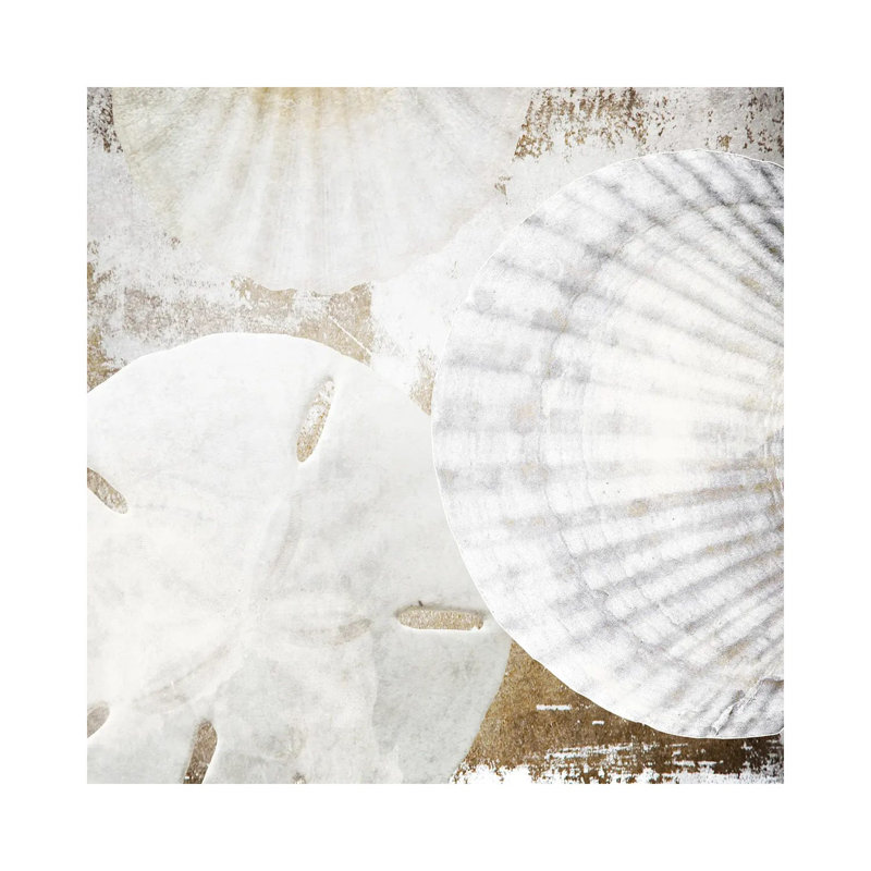 White Shells II-1PC6, 45.72 cm H x 45.72 cm W