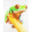 Curieuse grenouille aux yeux rouges - Toile verte, décoration intérieure-119178429