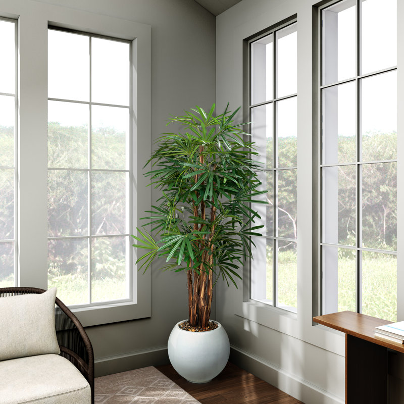 Jardinière 7 'Lady Palm en blanc Porter