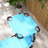 Sahdia Reclining Single Chaise with Cushions-1063579414