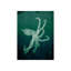 Marine Collection VI Print by GI Lab-26703696-26703700