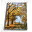 «The Road to You», reproduction sur toile sans cadre-22286930