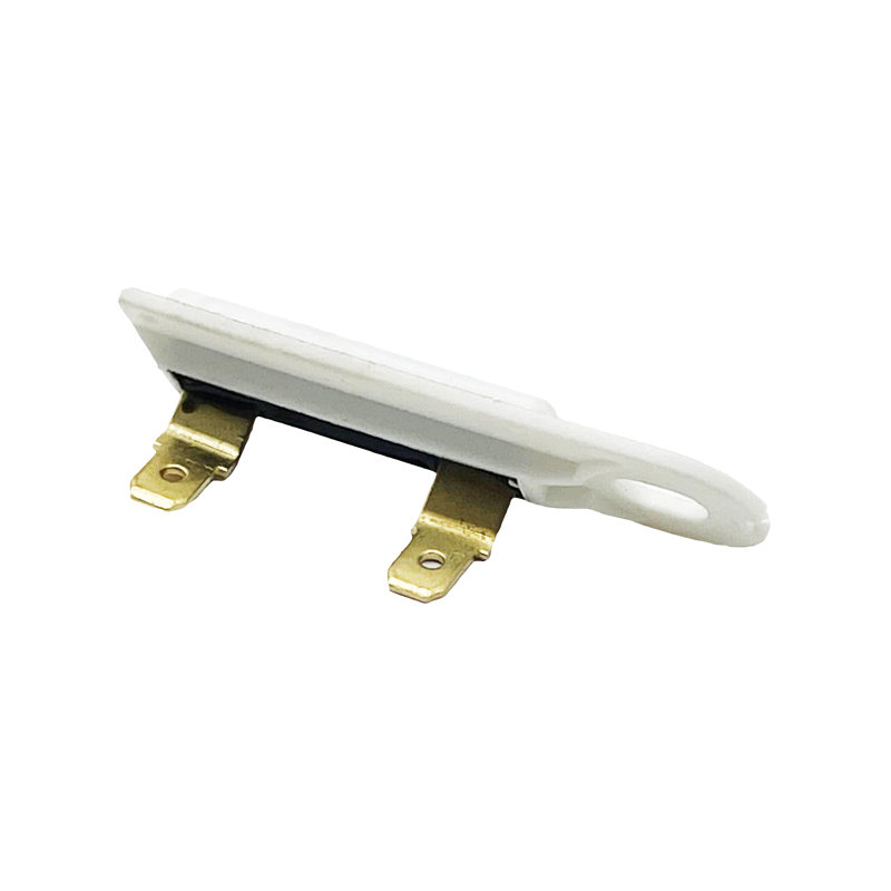 Whole Parts Thermostat