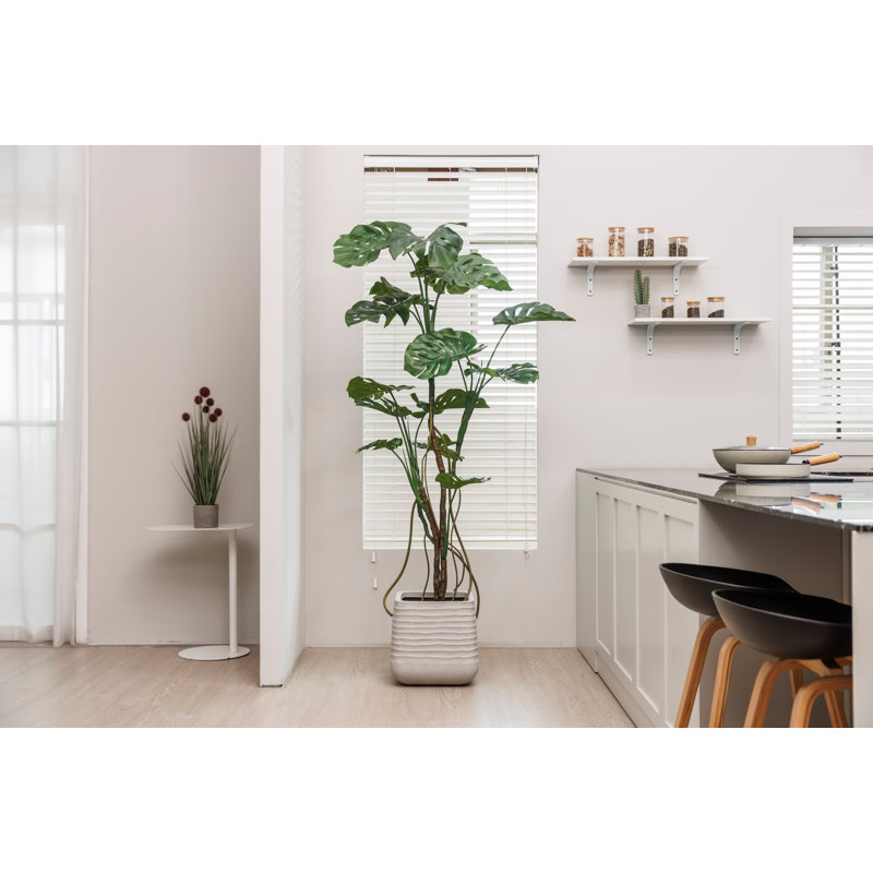 Fausse plante 71 po Karine