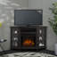 Lynette 56'' TV Stand with Fireplace-559201052
