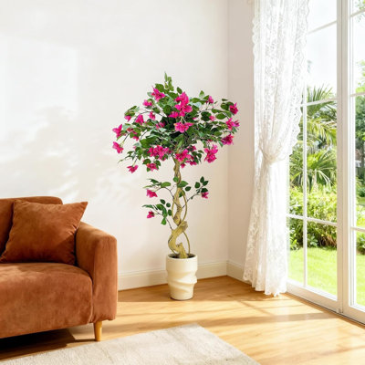 120cm Plant