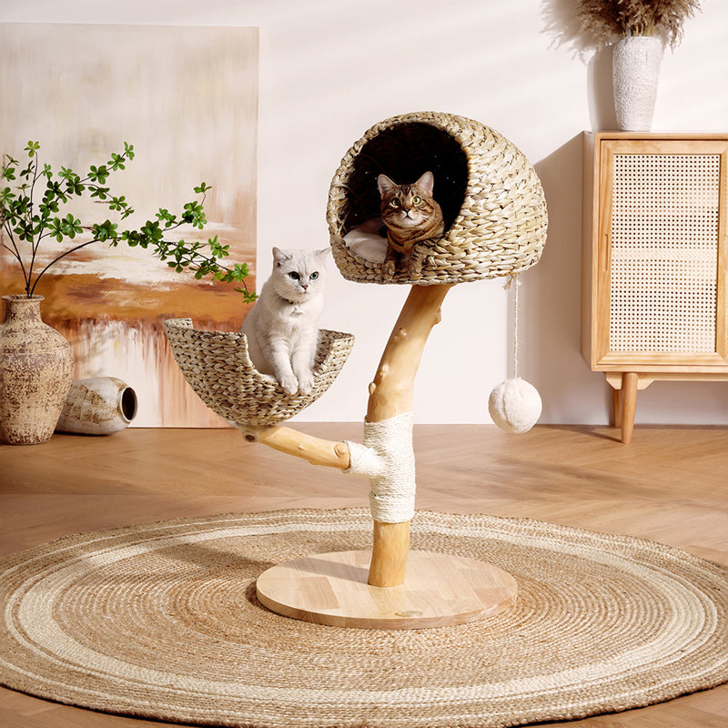 Structure d'escalade pour chat