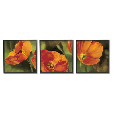 " Wild Poppy Blooms Flower Garden " by Pierre Viollet 3 - Pieces