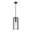 Luminaire suspendu 1 lumière-2126745155