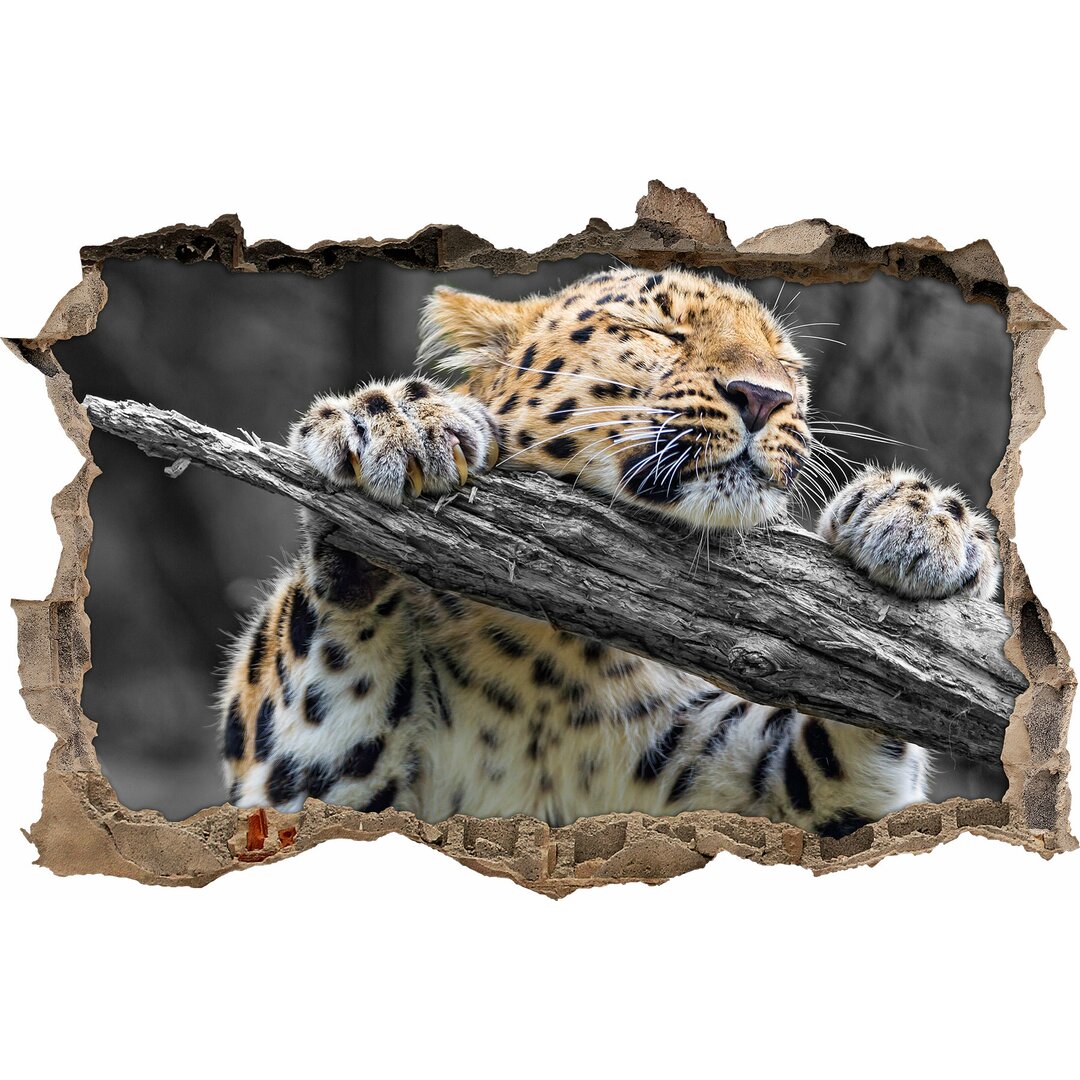 Schlafender Leopard auf einem Baumzweig Wandaufkleber