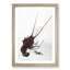 Crayfish by Watanabe Seitei - Picture Frame Painting Print-55682762-55682765