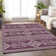 Chalee Southwestern Indoor Rug