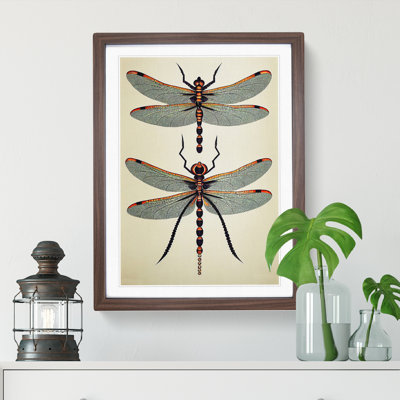 Classic Dragonflies - Wall Art
