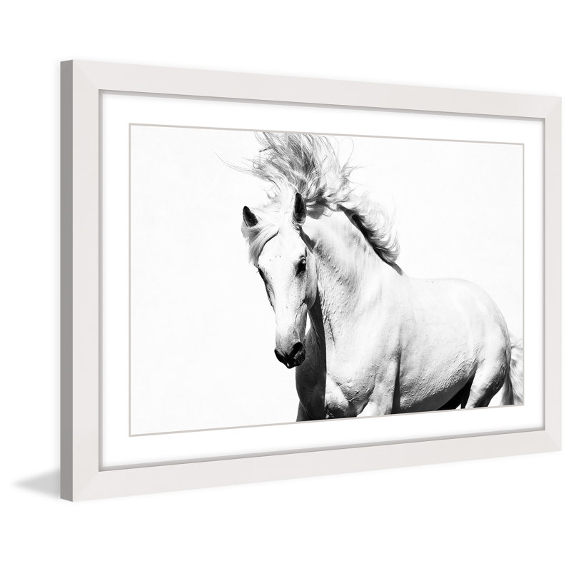 Glorious Stallion 1 Piece Single Picture Frame Wall Art, 61cm H x 91cm W
