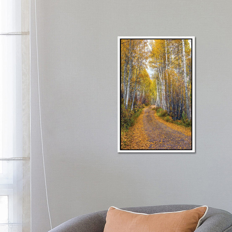 Fall In Aspen Colorado by Susanne Kremer - Gallery-Wrapped Canvas Giclée on Canvas, White Framed, 66.04 cm H x 45.72 cm W