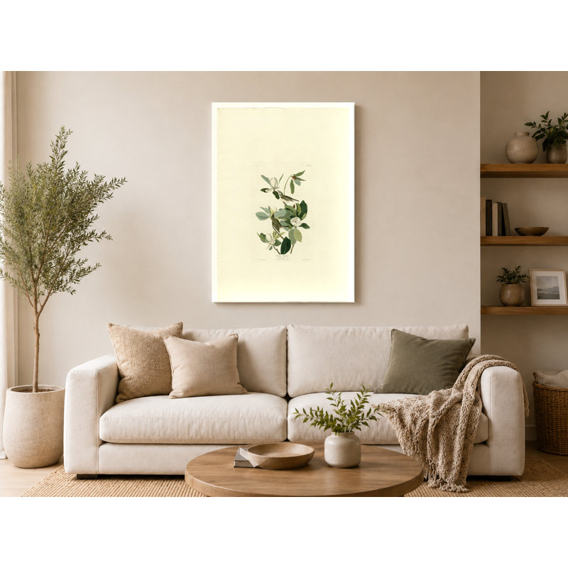 Mouchoir de poche (assiette CXV III), 20" W x 16" H