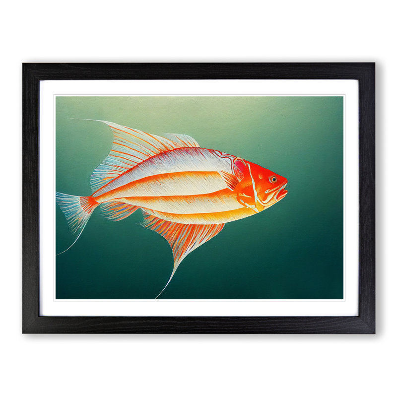 Intense Fish - Single Picture Frame Print, 25cm H x 34cm W x 2cm D, Black