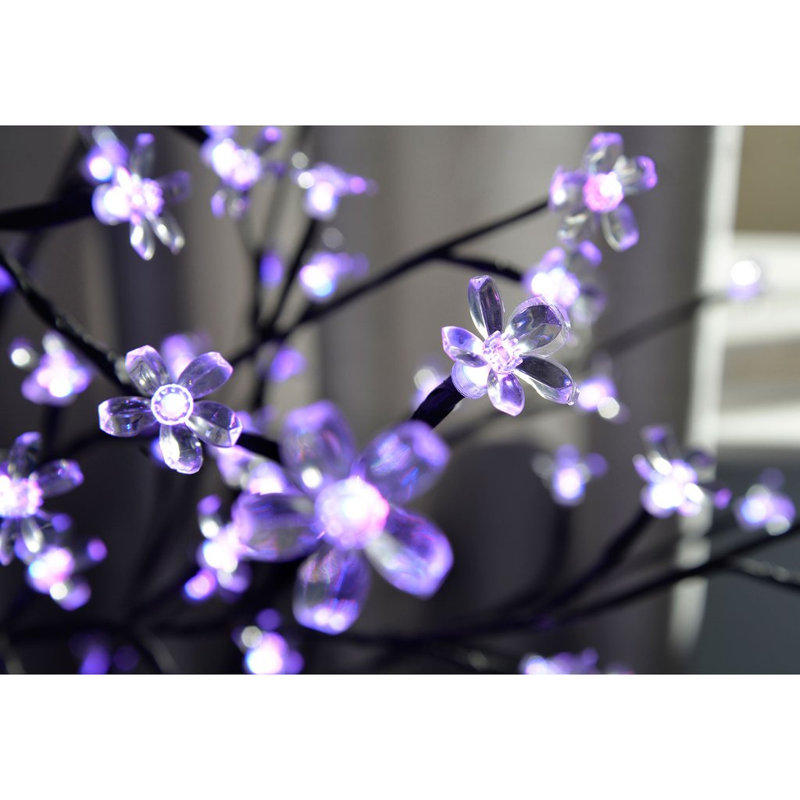 Indoor / Outdoor Lamp