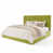 Vert olive est en rupture de stock