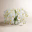 Phalaenopsis Orchid In Glass