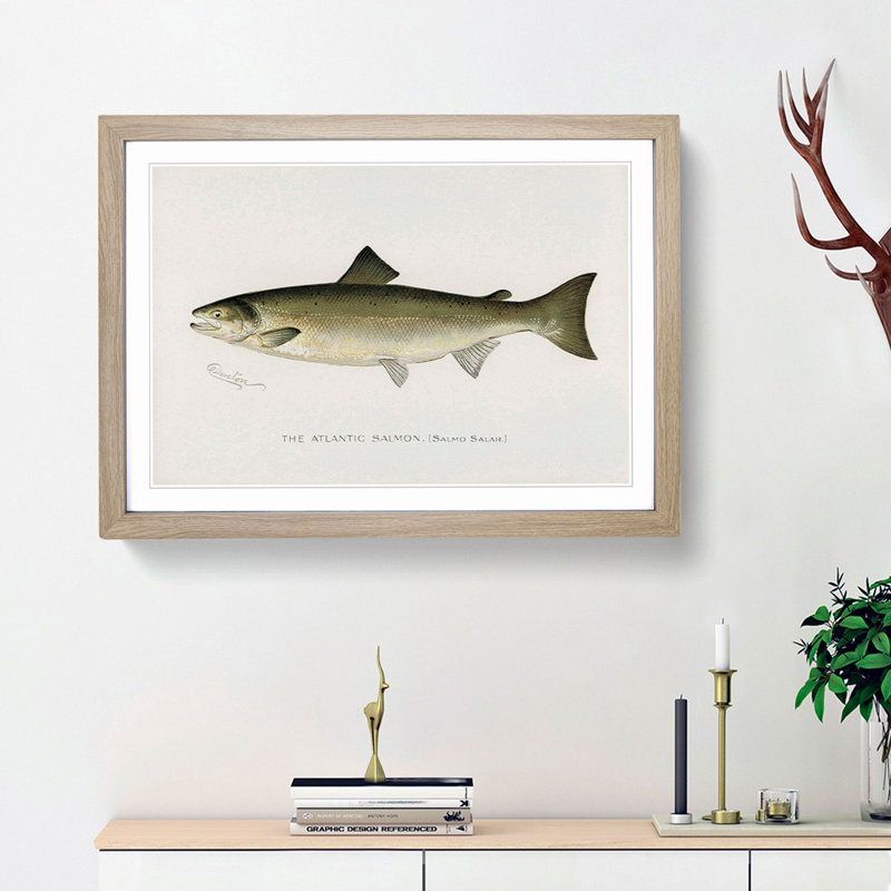 Atlantic Salmon by Sherman F. Denton - Framed Print, 24cm H x 33cm W x 2cm D, Oak Framed