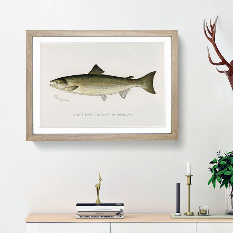Atlantic Salmon by Sherman F. Denton - Single Picture Frame Painting, 33cm H x 45cm W x 2cm D, Oak Framed