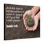 Fruit Of Righteousness James 3:18 - Wrapped Canvas Print-211825345