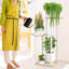 Plant Stand-618652292