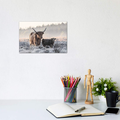 Highlander and Calf 1 Piece Wrapped Canvas Wall Art