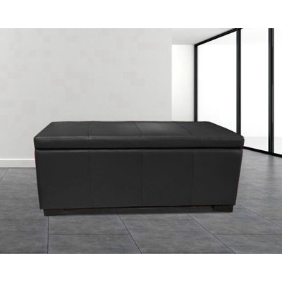 Haslett Vegan Leather Storage Cube