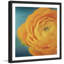 Single Picture Frame Print-1737592125