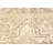 One-of-a-Kind Muted Beige Transitional 10X13 Oriental Area Rug
