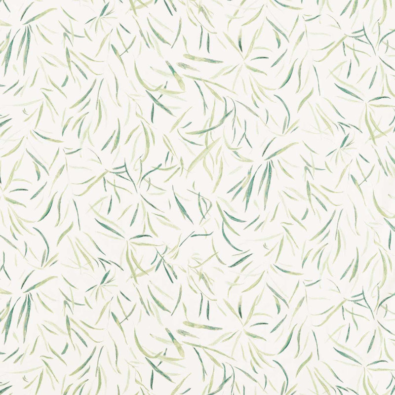 Moji, Forest/Evergreen