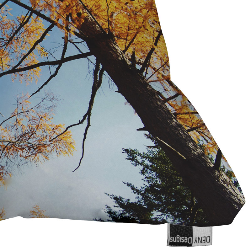 The Autumn Sky Throw Pillow, 20" x 20"